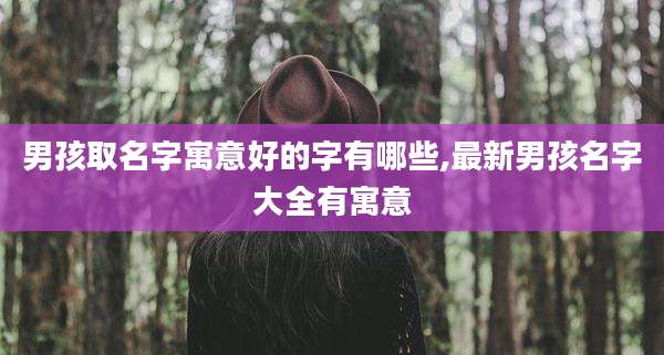 男孩取名字寓意好的字有哪些,最新男孩名字大全有寓意