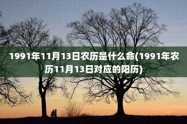 1991年11月13日农历是什么命(1991年农历11月13日对应的阳历)