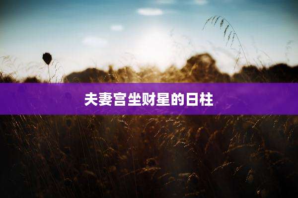 夫妻宫坐财星的日柱