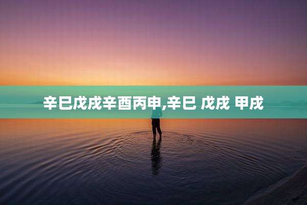 辛巳戊戌辛酉丙申,辛巳 戊戌 甲戌