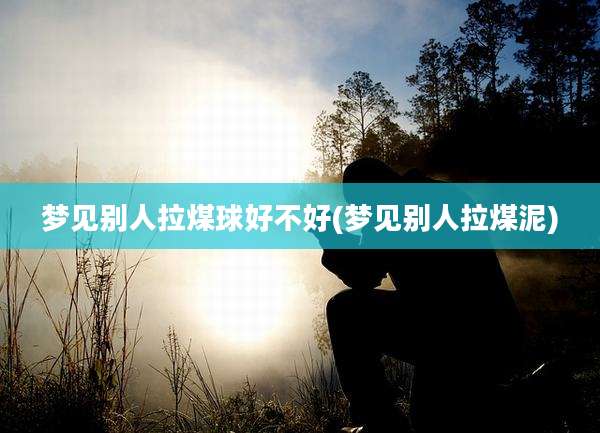梦见别人拉煤球好不好(梦见别人拉煤泥)