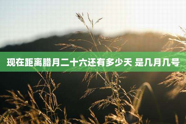 现在距离腊月二十六还有多少天 是几月几号