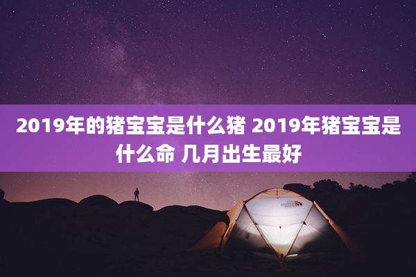 2019年的猪宝宝是什么猪 2019年猪宝宝是什么命 几月出生最好