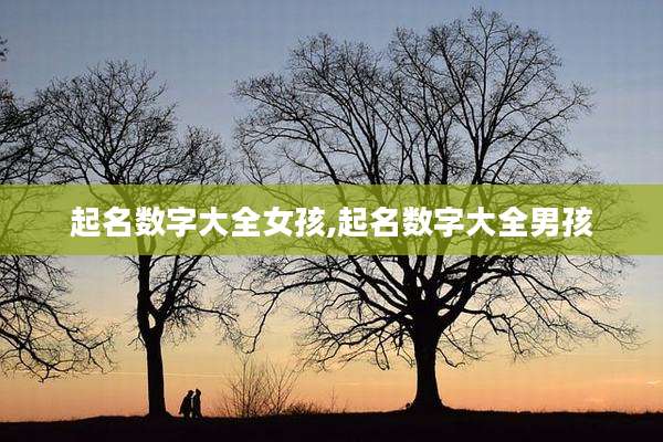 起名数字大全女孩,起名数字大全男孩