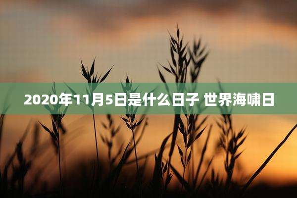 2020年11月5日是什么日子 世界海啸日