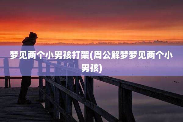 梦见两个小男孩打架(周公解梦梦见两个小男孩)