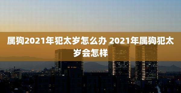 属狗2021年犯太岁怎么办 2021年属狗犯太岁会怎样