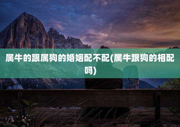 属牛的跟属狗的婚姻配不配(属牛跟狗的相配吗)