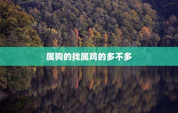 属狗的找属鸡的多不多
