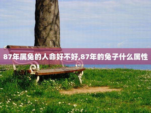 87年属兔的人命好不好,87年的兔子什么属性