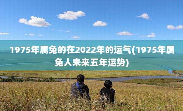 1975年属兔的在2022年的运气(1975年属兔人未来五年运势)