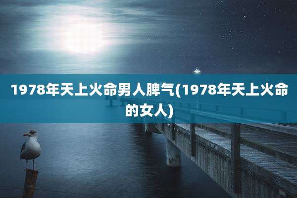 1978年天上火命男人脾气(1978年天上火命的女人)
