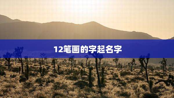 12笔画的字起名字