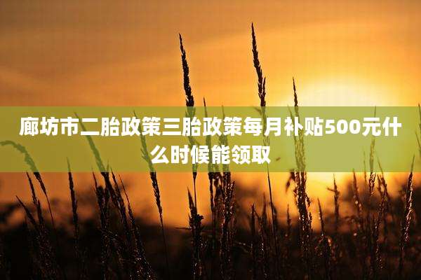 廊坊市二胎政策三胎政策每月补贴500元什么时候能领取