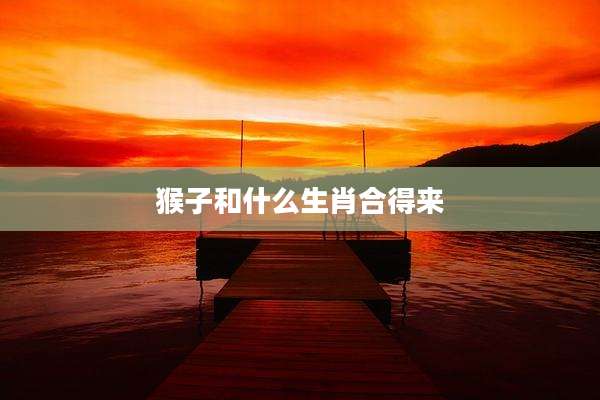 猴子和什么生肖合得来