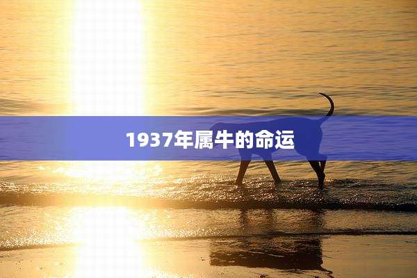 1937年属牛的命运