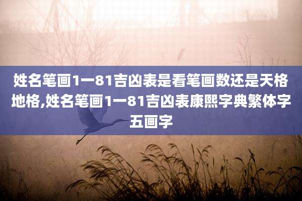姓名笔画1一81吉凶表是看笔画数还是天格地格,姓名笔画1一81吉凶表康熙字典繁体字五画字