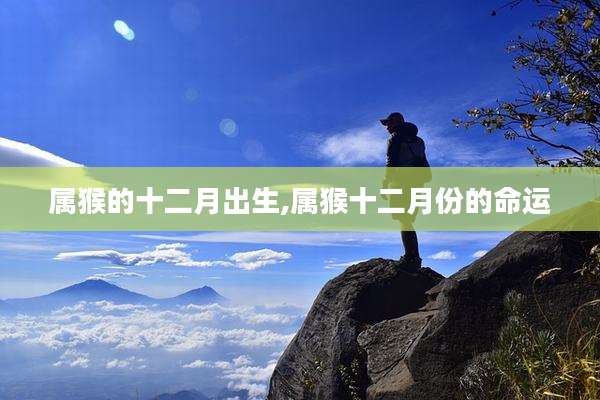 属猴的十二月出生,属猴十二月份的命运