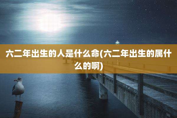 六二年出生的人是什么命(六二年出生的属什么的啊)