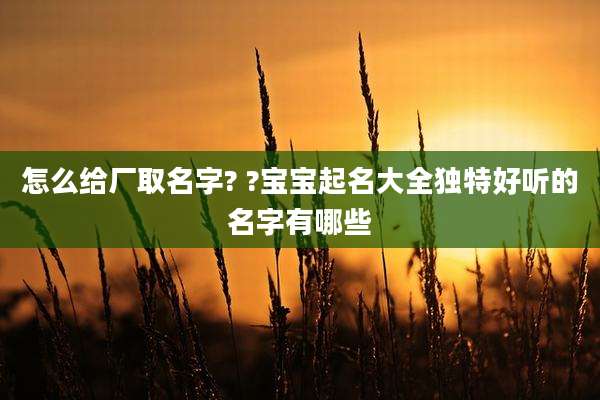 怎么给厂取名字? ?宝宝起名大全独特好听的名字有哪些