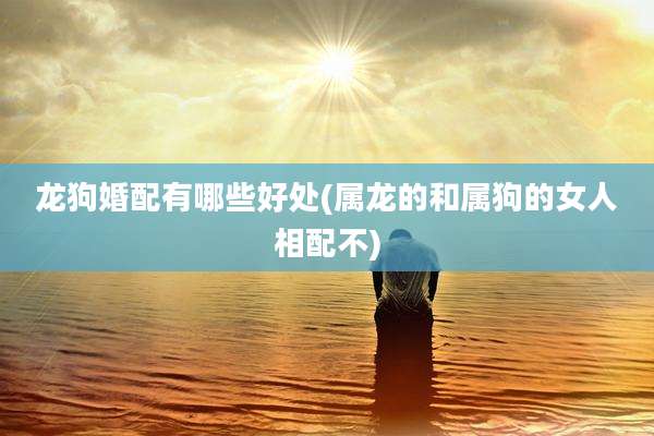 龙狗婚配有哪些好处(属龙的和属狗的女人相配不)