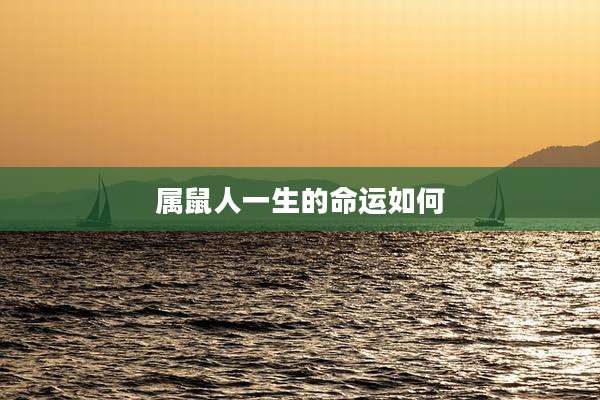 属鼠人一生的命运如何