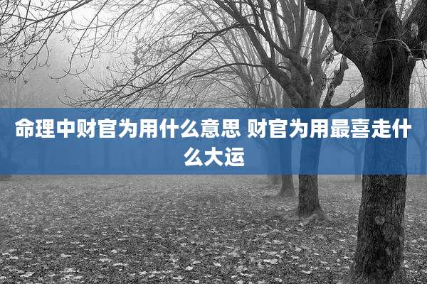命理中财官为用什么意思 财官为用最喜走什么大运