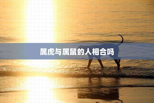 属虎与属鼠的人相合吗