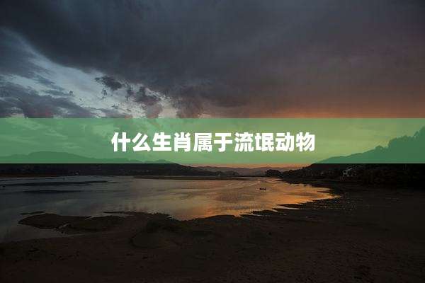什么生肖属于流氓动物