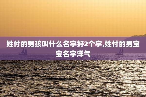 姓付的男孩叫什么名字好2个字,姓付的男宝宝名字洋气