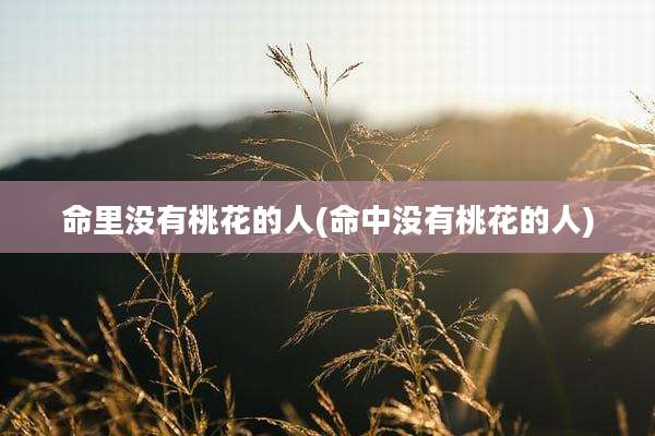 命里没有桃花的人(命中没有桃花的人)
