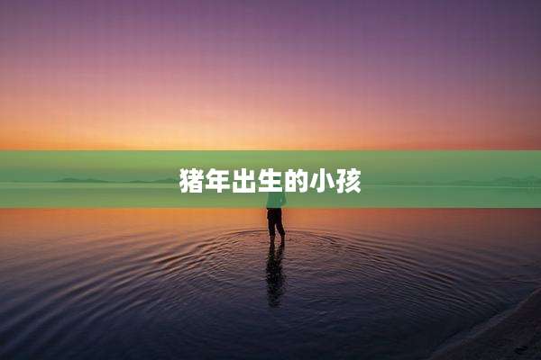 猪年出生的小孩