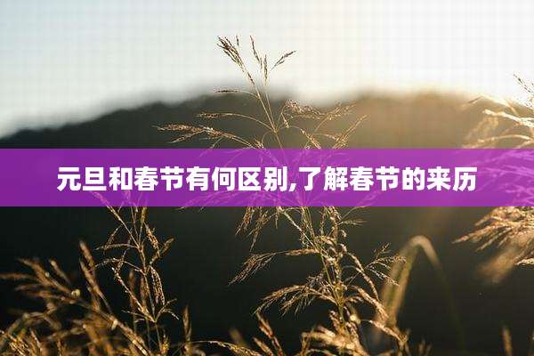 元旦和春节有何区别,了解春节的来历