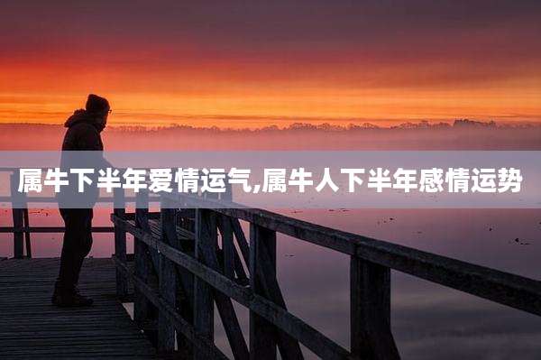 属牛下半年爱情运气,属牛人下半年感情运势