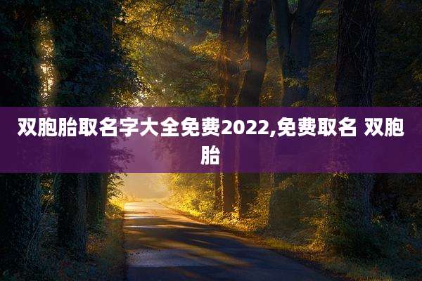 双胞胎取名字大全免费2022,免费取名 双胞胎