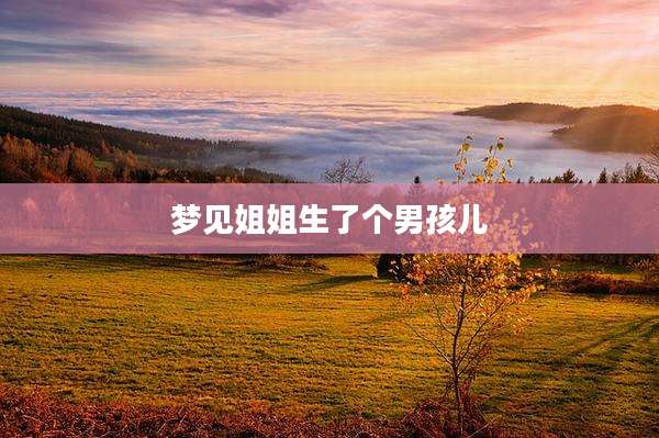 梦见姐姐生了个男孩儿