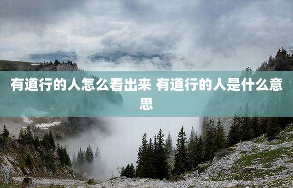 有道行的人怎么看出来 有道行的人是什么意思