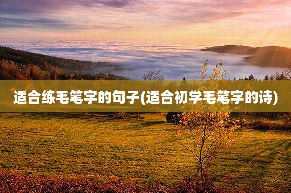 适合练毛笔字的句子(适合初学毛笔字的诗)
