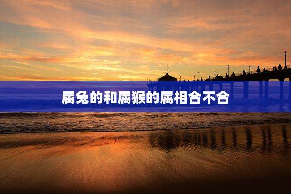 属兔的和属猴的属相合不合
