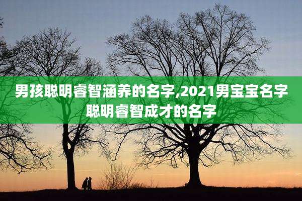 男孩聪明睿智涵养的名字,2021男宝宝名字聪明睿智成才的名字