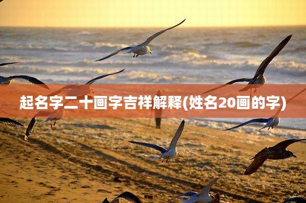 起名字二十画字吉祥解释(姓名20画的字)