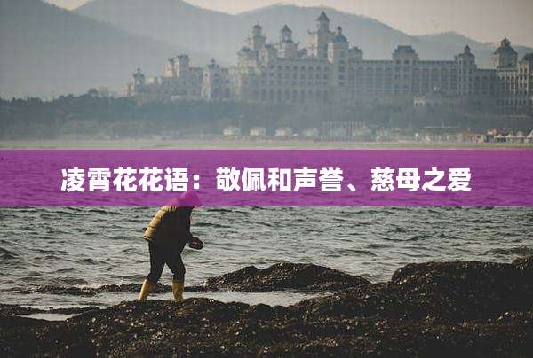 凌霄花花语：敬佩和声誉、慈母之爱