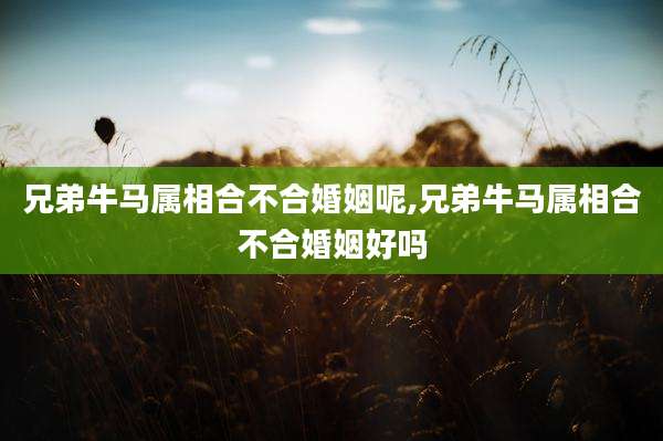 兄弟牛马属相合不合婚姻呢,兄弟牛马属相合不合婚姻好吗