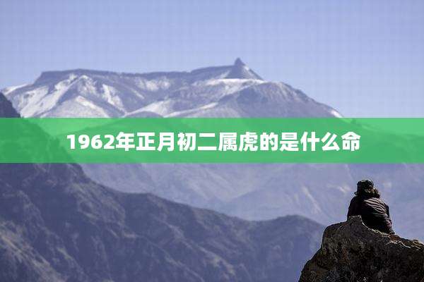 1962年正月初二属虎的是什么命