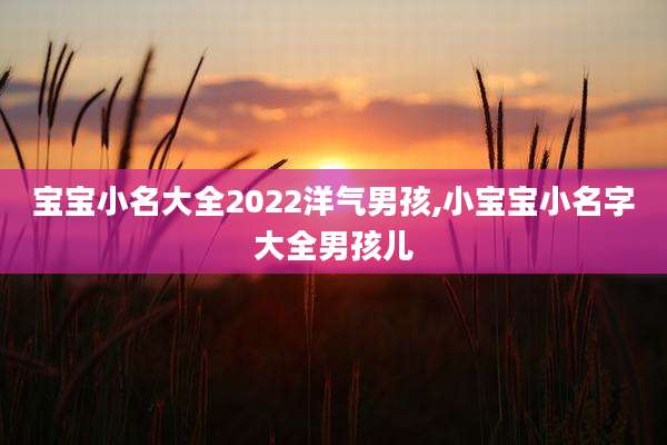宝宝小名大全2022洋气男孩,小宝宝小名字大全男孩儿