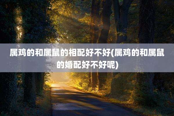 属鸡的和属鼠的相配好不好(属鸡的和属鼠的婚配好不好呢)