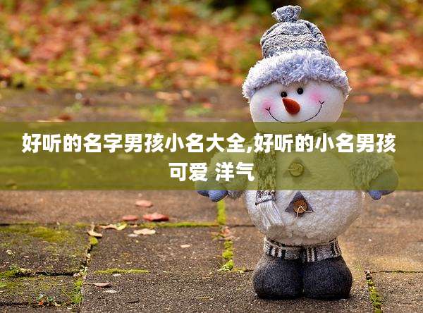 好听的名字男孩小名大全,好听的小名男孩 可爱 洋气