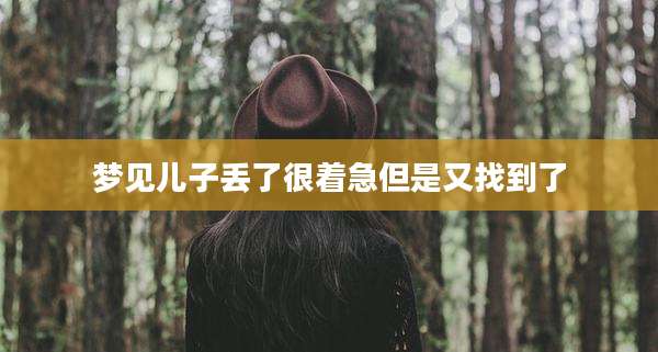 梦见儿子丢了很着急但是又找到了