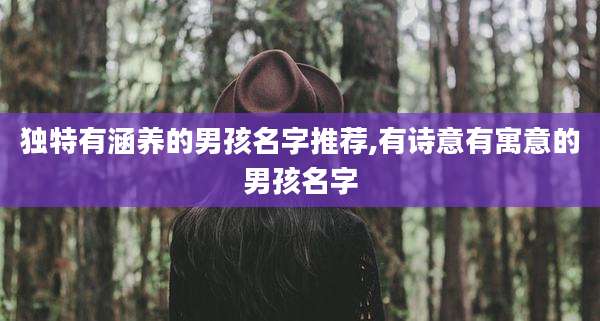 独特有涵养的男孩名字推荐,有诗意有寓意的男孩名字