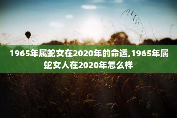 1965年属蛇女在2020年的命运,1965年属蛇女人在2020年怎么样